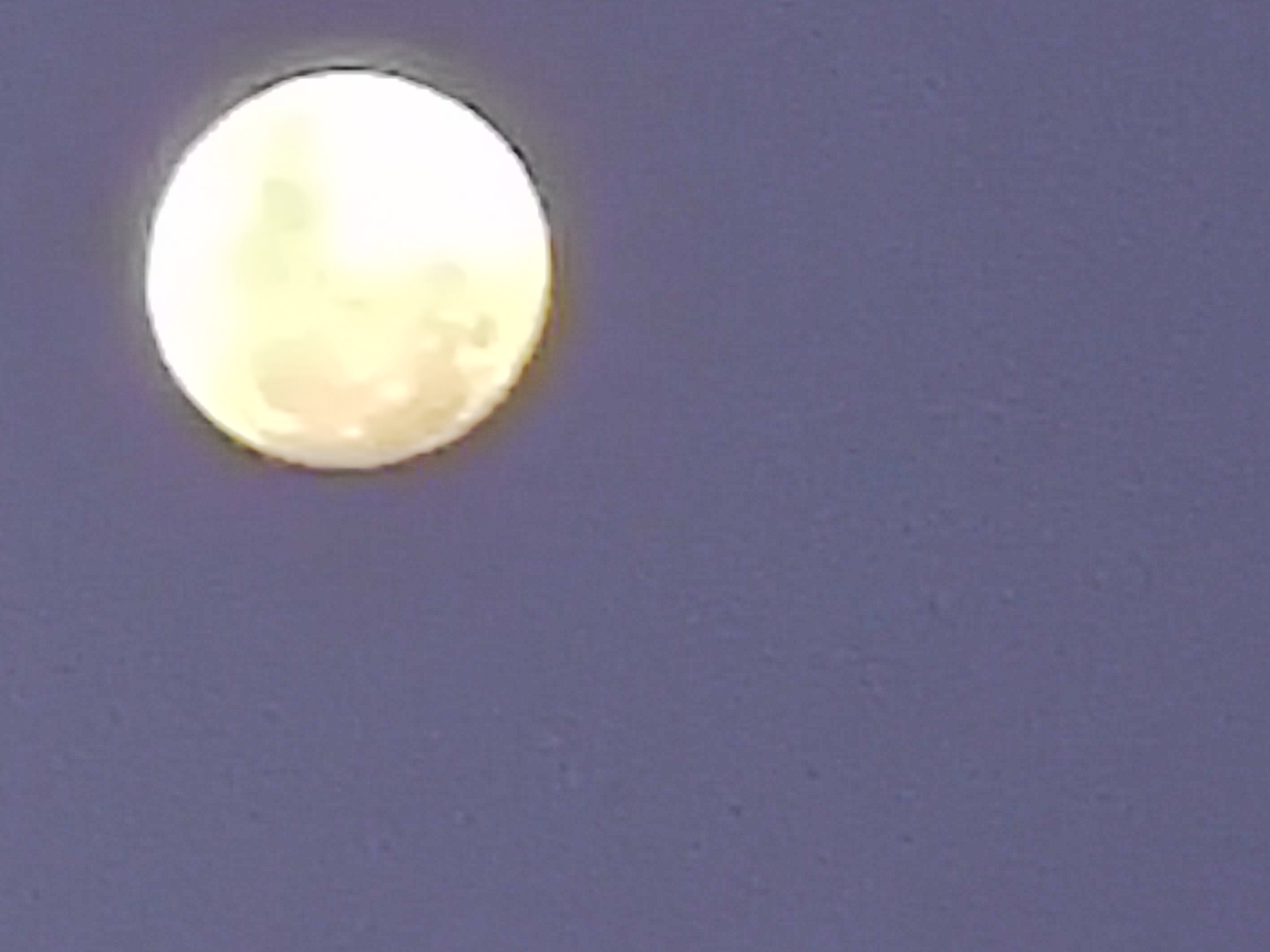 IMG_20201128_172753.jpg