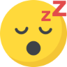:sleeping: