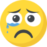 :cry5: