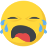 :cry4: