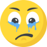 :cry3: