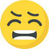 Pain :pain: