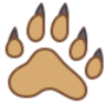 :bear1: